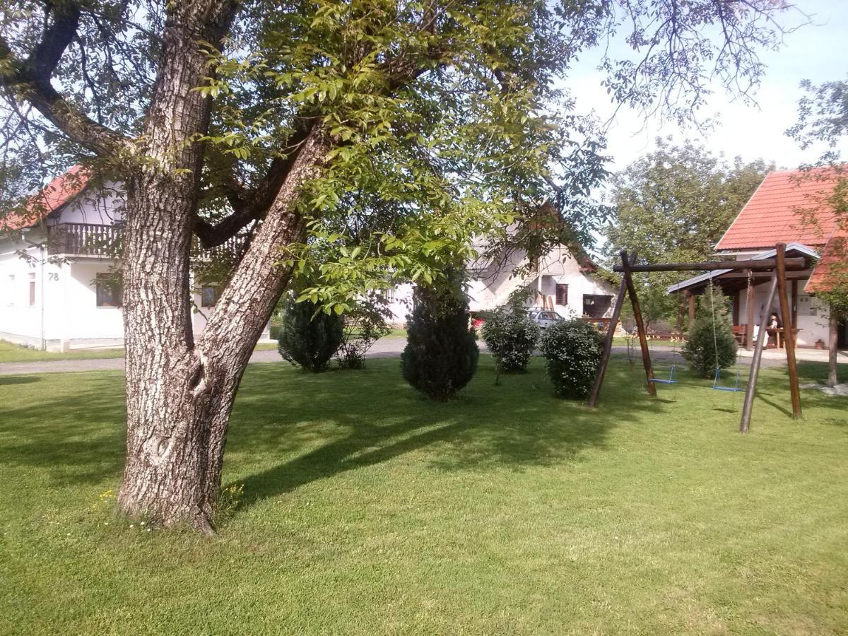 Apartments With A Parking Space Smoljanac, Plitvice - 12345 מראה חיצוני תמונה